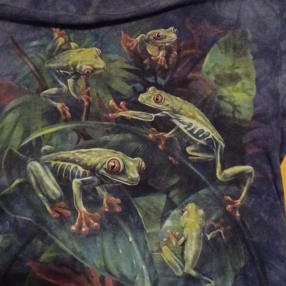 Rainforest Cafe XL Boy Frog Shirt Top - Picture 2 of 4